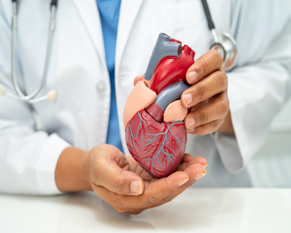 cardiology