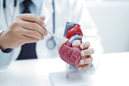 cardiology