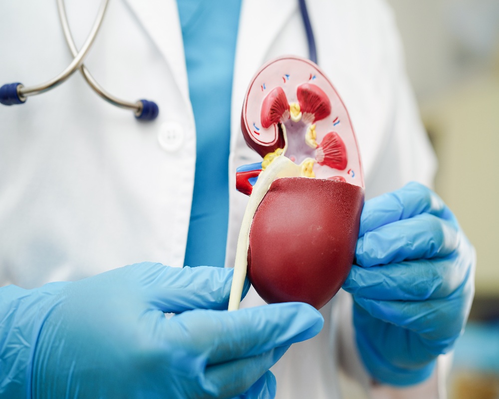urology